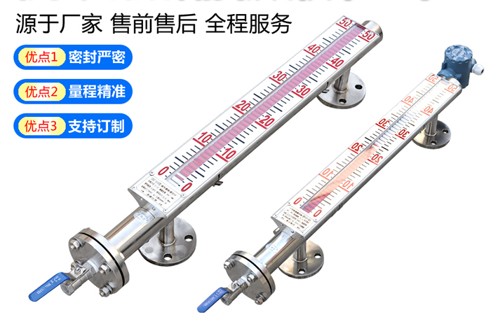 防腐磁性浮子液位计