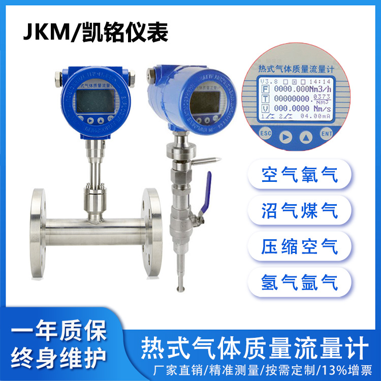 防爆热式气体质量流量计
